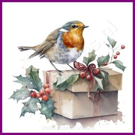 Diamond Painting Roodborstje Kerst 09 (formaat en vorm steentjes naar keuze)