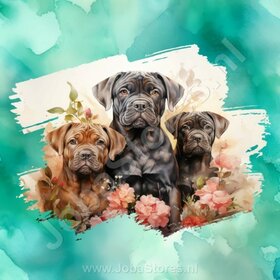 Diamond Painting Aquarel Hond - Bullmastiff 03 (formaat en vorm steentjes naar keuze)