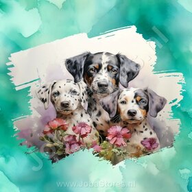 Diamond Painting Aquarel Hond - Dalmatier 02 (formaat en vorm steentjes naar keuze)