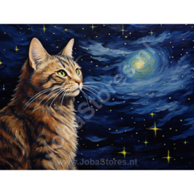 Diamond Painting Sterrennacht Kat 01 (formaat en vorm steentjes naar keuze)