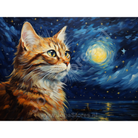 Diamond Painting Sterrennacht Kat 02 (formaat en vorm steentjes naar keuze)