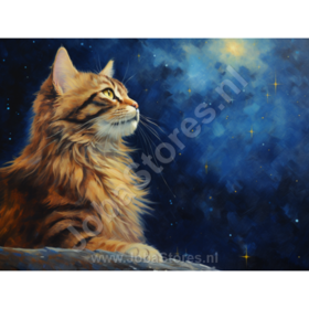 Diamond Painting Sterrennacht Kat 03 (formaat en vorm steentjes naar keuze)