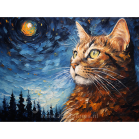 Diamond Painting Sterrennacht Kat 04 (formaat en vorm steentjes naar keuze)