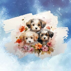 Diamond Painting Aquarel Hond - Havanezer 03 (formaat en vorm steentjes naar keuze)