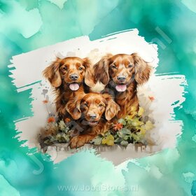 Diamond Painting Aquarel Hond - Ierse Setter 01 (formaat en vorm steentjes naar keuze)