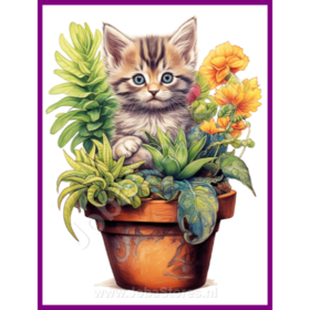 Diamond Painting Kitten in plantenpot 07 (formaat en vorm steentjes naar keuze)