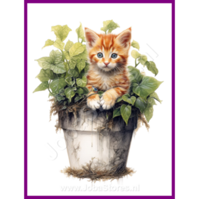Diamond Painting Kitten in plantenpot 11 (formaat en vorm steentjes naar keuze)