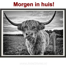 OP=OP Diamond Painting Schotse Hooglander 40x50cm