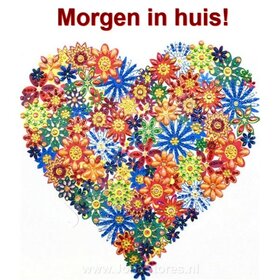 OP=OP Special Diamond Painting Hart 25x25cm