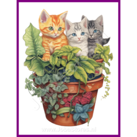 Diamond Painting Kitten in plantenpot 15 (formaat en vorm steentjes naar keuze)