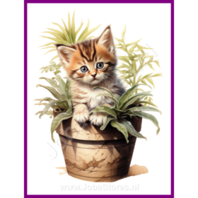 Diamond Painting Kitten in plantenpot 16 (formaat en vorm steentjes naar keuze)