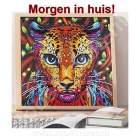 OP=OP Special Diamond Painting Luipaard 25x25cm
