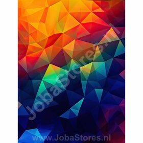 Schilderij Kleurrijk Abstract 24