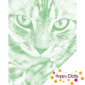HappyDots DOT Painting Schattig katje 30x40cm - Stippelschilderij Groen