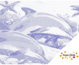 LAATSTE KANS ! DOT Painting Dolfijnen 30x40cm Blauw