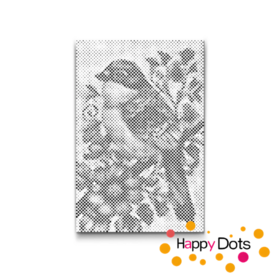 HappyDots DOT Painting Vogels 08 - 20x30cm