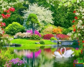 Diamond Painting Tuin met Zwanen 40x50cm