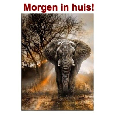 OP=OP Diamond Painting Olifant in schemer 30x40cm
