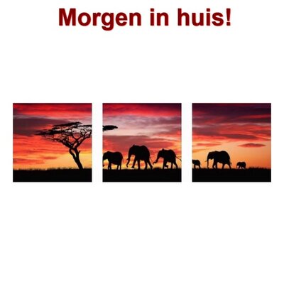 OP=OP Diamond Painting Olifanten 3 luiks 60x20cm