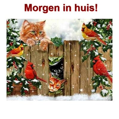 OP=OP Diamond Painting Kerst Katten 30x40cm