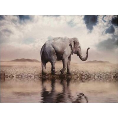 Diamond Painting Olifant 01 (formaat en vorm steentjes naar keuze)